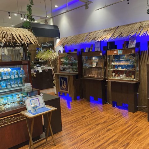 マーメイドジュエリー横浜1